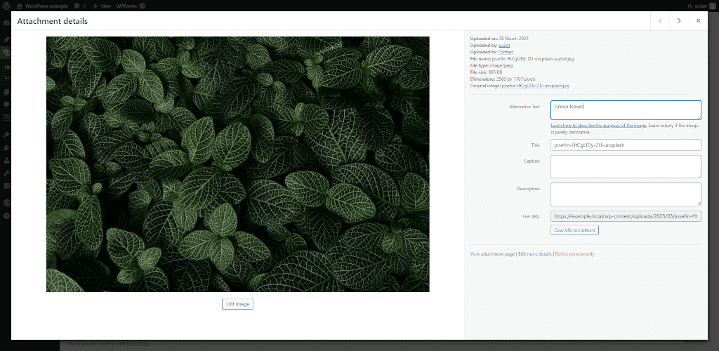 Screenshot of WordPress media library image details