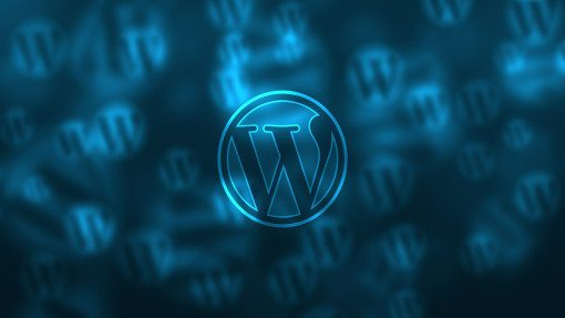 WordPress logo on a blue screen