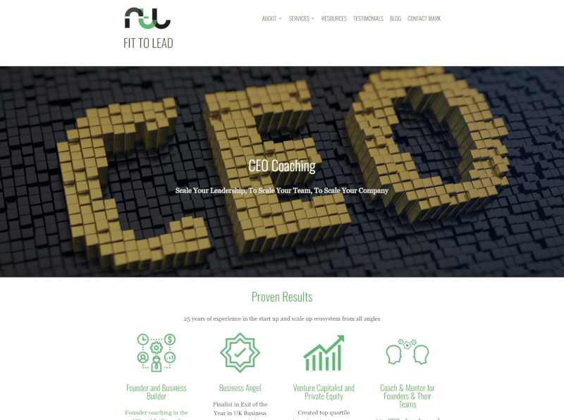 Screenshot of Fit to Lead website